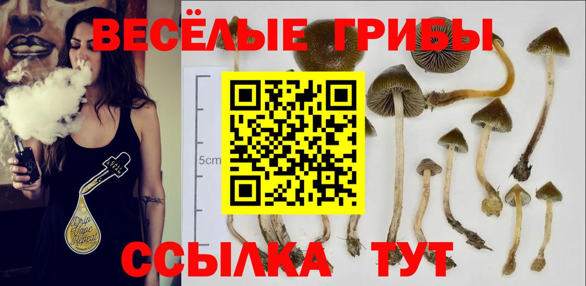 Галлюциногенные грибы прущие грибы Воткинск