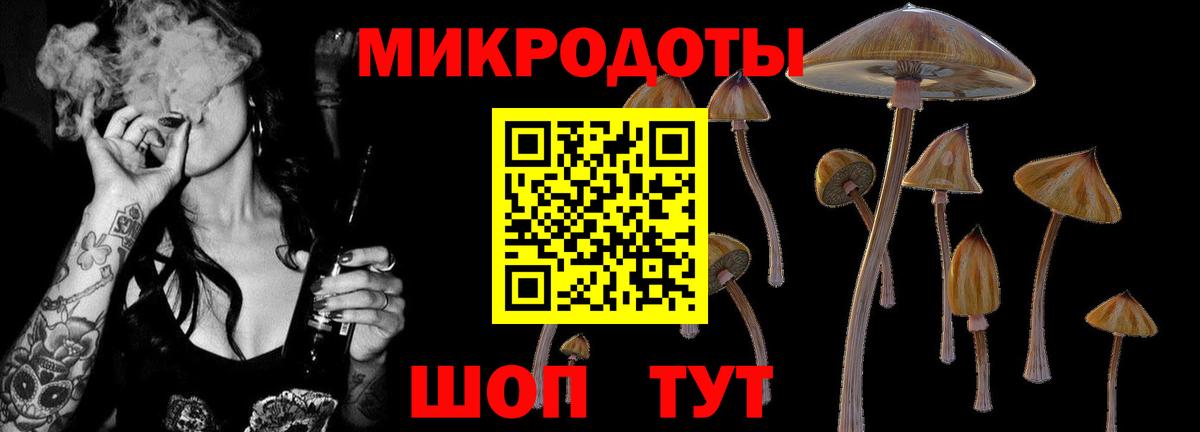 Галлюциногенные грибы Cubensis  Псилоцибиновые грибы Psilocybe  Вход с VPN  Воткинск 